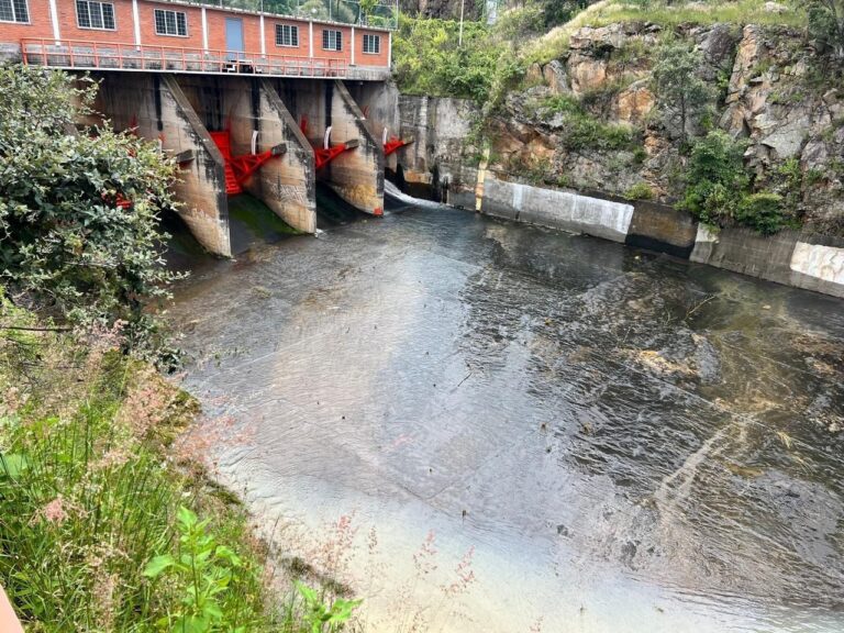 presa de Cointzio