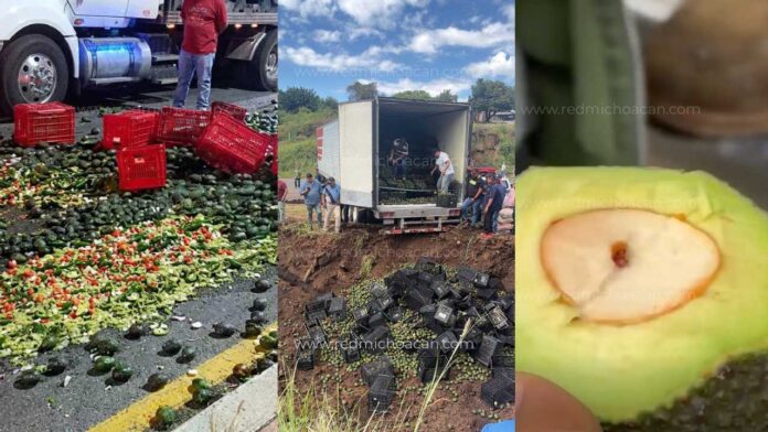 Aguacate