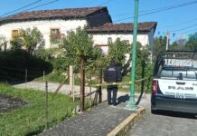 Localizan a joven sin vida en la Tenencia de Coatepec de Morelos, Zitácuaro