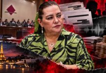 ¡ESCÁNDALO SACUDE AL INE! Guadalupe Taddei anuncia su renuncia tras revelaciones de contratos millonarios, videos, audios y presuntos conflictos de interés