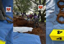 Localizan osamenta humana en una fosa de Cutzato, al sur de Uruapan