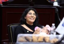 La lactancia materna como derecho humano, propone Vanhe Caratachea