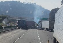 Paro en el sector aguacatero genera bloqueos y “filtros” vehiculares por parte de algunos productores