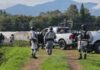 Ejecutan a dos masculinos dentro de baños portátiles, en predios agrícolas de Jacona
