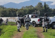 Ejecutan a dos masculinos dentro de baños portátiles, en predios agrícolas de Jacona