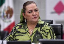 No Basta la renuncia de Taddei, se debe investigar posibles delitos y revisar reforma de Morena que concentró poder en la presidencia del INE